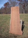 slab back — Restoration Dilemma